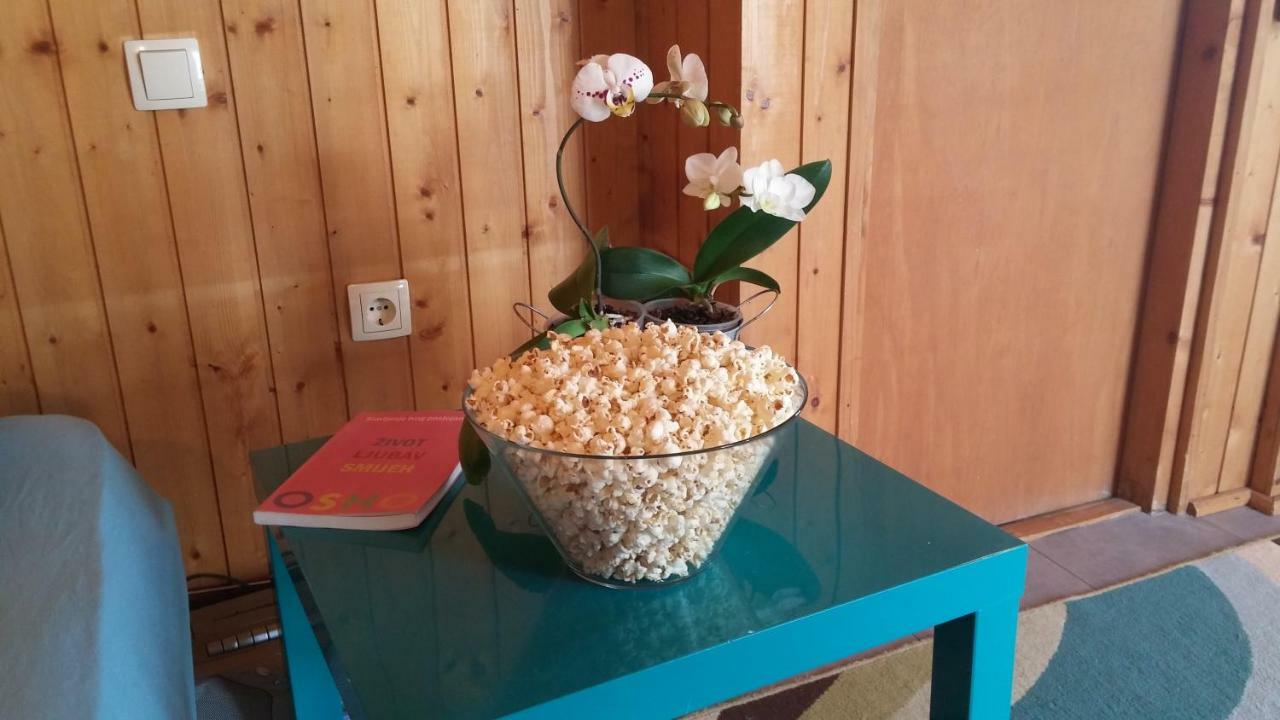 Apartman Joy Nin Exteriér fotografie